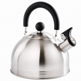 Mr. Coffee Carterton 1.5 Qt Stainless Steel Whistling Tea Kettle Silver