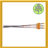 Ravin R134 .001 Premium Match-Grade Lighted Arrows for Ravin X-bows ONLY -3 Pack